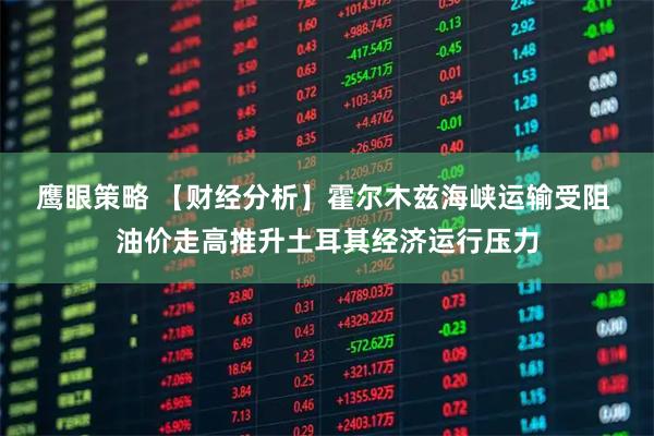 鹰眼策略 【财经分析】霍尔木兹海峡运输受阻 油价走高推升土耳其经济运行压力