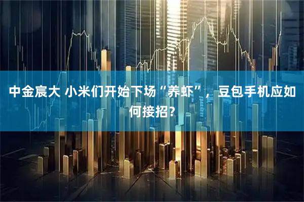 中金宸大 小米们开始下场“养虾”，豆包手机应如何接招？