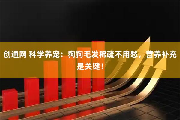 创通网 科学养宠：狗狗毛发稀疏不用愁，营养补充是关键！