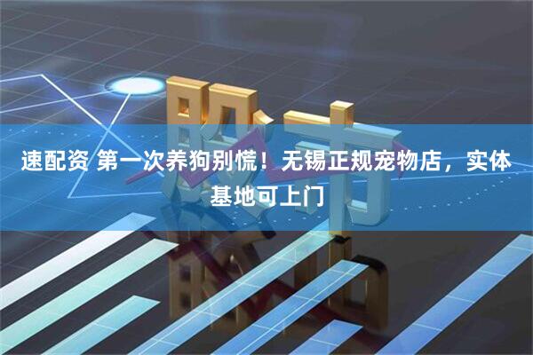 速配资 第一次养狗别慌！无锡正规宠物店，实体基地可上门