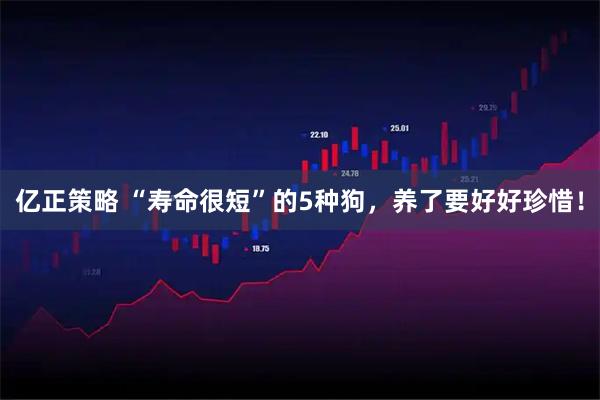 亿正策略 “寿命很短”的5种狗，养了要好好珍惜！