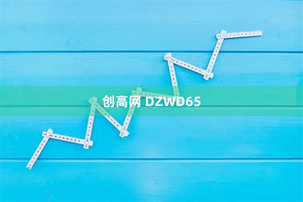 创高网 DZWD65