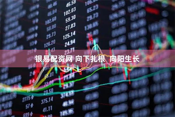 银易配资网 向下扎根 向阳生长
