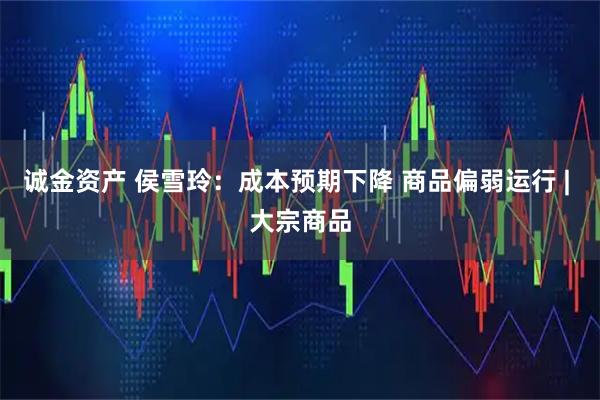 诚金资产 侯雪玲：成本预期下降 商品偏弱运行 | 大宗商品